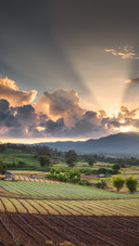 The countryside scenery at sunset