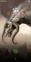 Dragon power