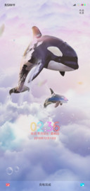空鲸