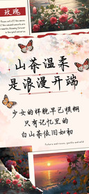 山茶温柔是浪漫开端