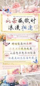 山茶盛放时浪漫相逢