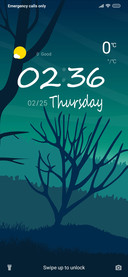 Tree_Illusion