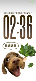 INS趣味腊肠小狗