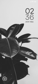 Dark Plant