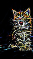 Black Cat
