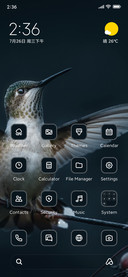 Bird