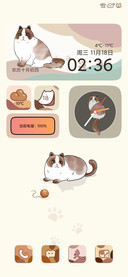 小肥猫