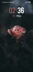 Flower Blossom
