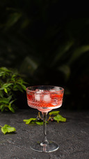 Refreshing Summer Cocktail with Black Currant