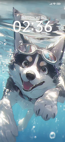 Summer+Husky