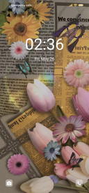 Tulip gift