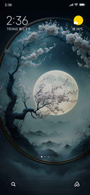 Moon in the mirror