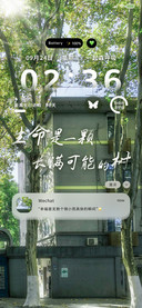 OS氛围 光穿透绿叶