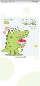 Small crocodile