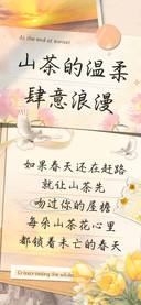 山茶的温柔肆意浪漫