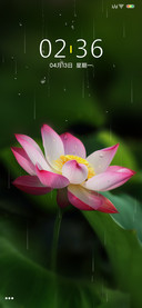 唯美护眼荷