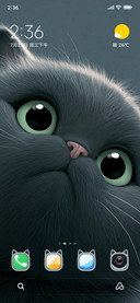 Cutie Meow