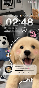 INS风发财小金毛