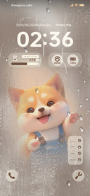 Shiba Inu