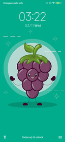 Grapes_3MDS