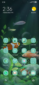 Lucky+aquarium
