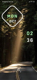 Tree_7