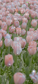 如约而至的星光
