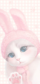 网红 粉红猫