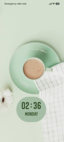 Mint Calm