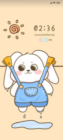 Drying bunny doll