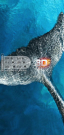 3D视觉海鲸