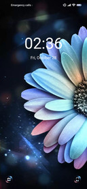 Shiny Sunflower
