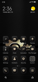 Leather Gold Edge