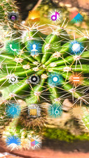 Cactus_DWM2