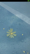 非主流雨滴文字控