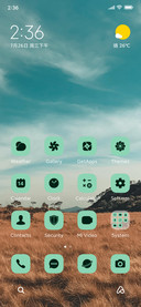 Skymint