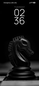 Black Idol