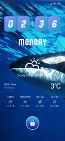 Whale_1
