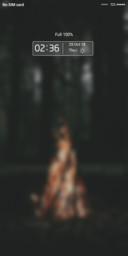 MiniRom