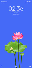 小清新荷花