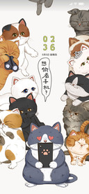 小猫咪偷看手机