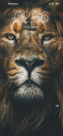 Sher