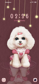 Poodle