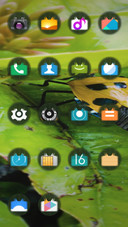 insect_DWM2