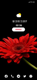 Red Flower