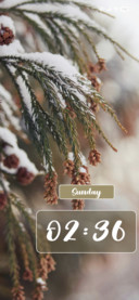 Pine tree