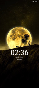 Moon night