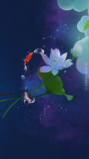 夏之星座
