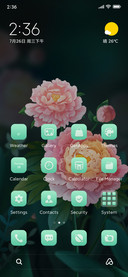 Peony+flowers