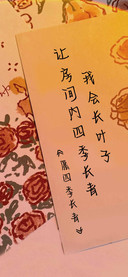 愿四季长青